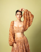 Load image into Gallery viewer, Brown Printed Lehenga + Crop Top
