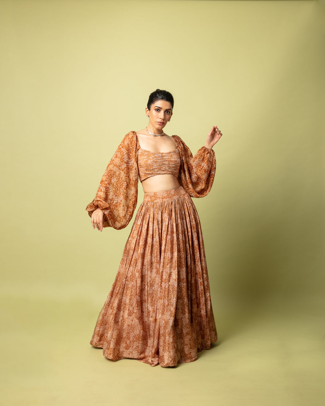 Brown Printed Lehenga + Crop Top